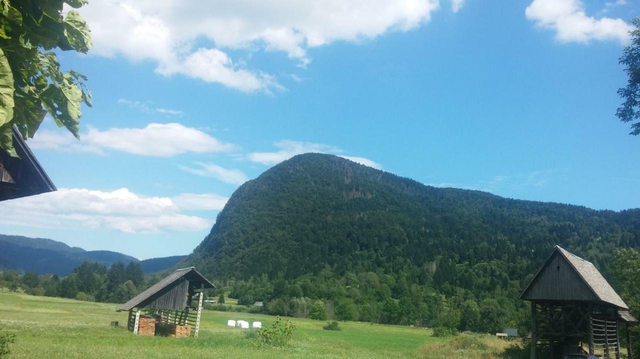 Vihar Apartmaji Bohinj Dış mekan fotoğraf