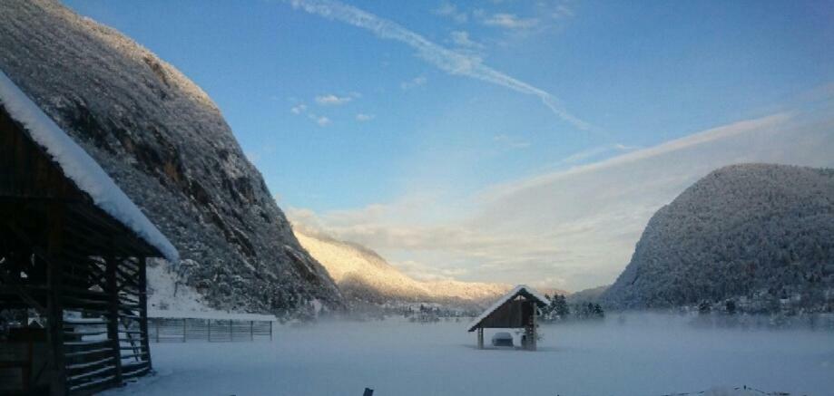Vihar Apartmaji Bohinj Dış mekan fotoğraf